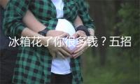 冰箱花了你很多钱?五招叫它省出来